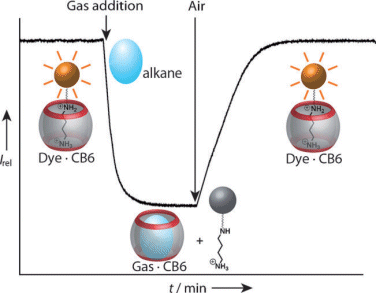 Alkane uptake by CB6