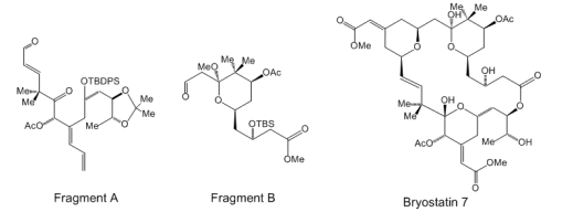 Scheme Fragments and Bryostatin