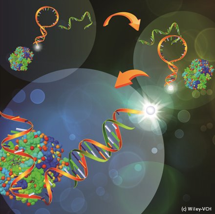 Molecular Beacon for Detecting Proteins