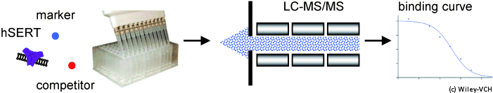 Mass spectroscopy seratonin transport