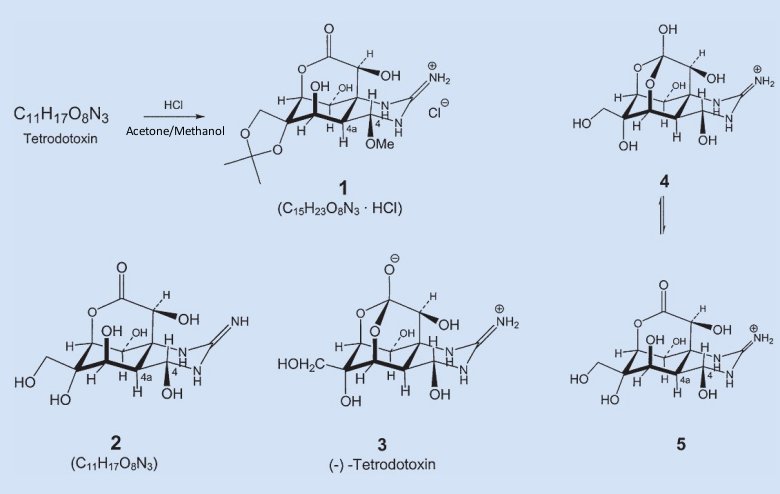 tetrodotoxin structure