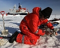 thumbnail image: Rapid Changes in the Arctic Ecosystem