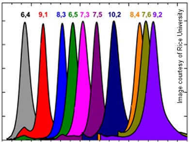 Purification of Carbon Nanotube Species