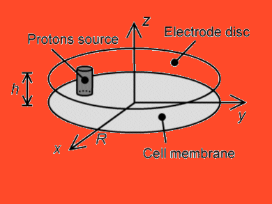 Amperometry Put to Test