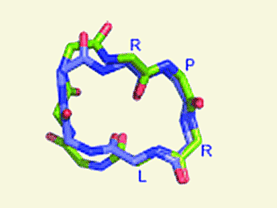 Understanding the APJ Receptor Binding Site