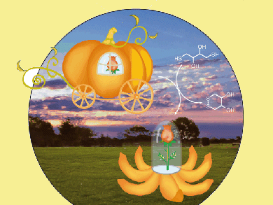 Angew. Chem. 26/2010: Nobel Issue