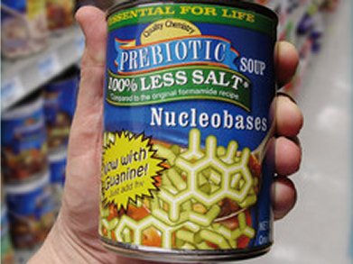 Prebiotic Soup