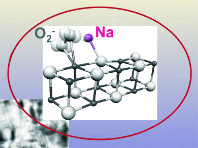 Superoxide to the Rescue!