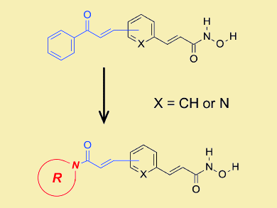 HDAC Inhibitors