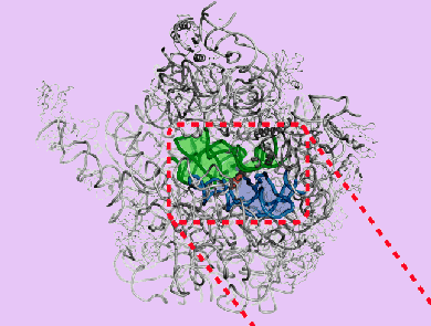 Israel Journal of Chemistry