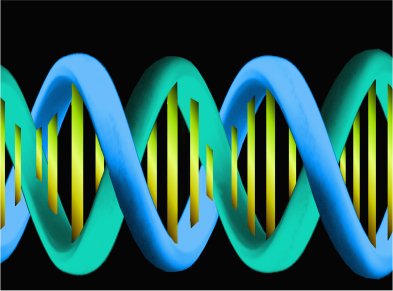 Optimized Minicircle DNA Production