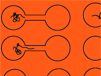 Polymers Passing Nanopores