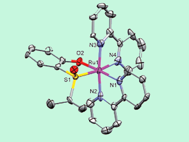 Chiral Auxillary