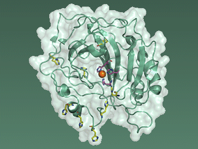 Highlights in Biocatalysis