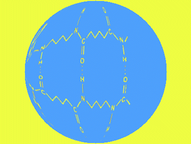 World´s Largest Polyamide 6-Plant