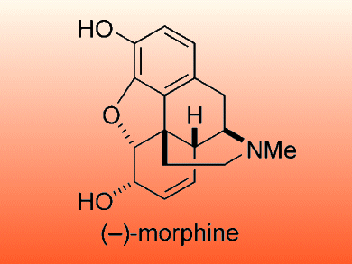 Morphine Synthesis