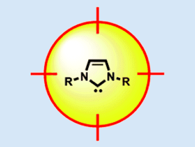 Angewandte Chemie 39/2010: The Measure of All Things