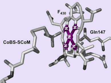 Model Nickel Complex