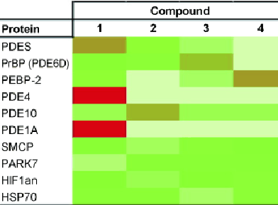 Proteomic Approach