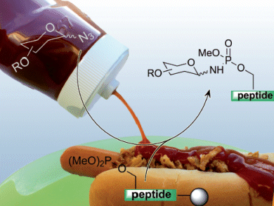 Carbohydrate-Peptide Conjugates