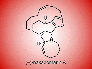 Soaking Up Synthesis