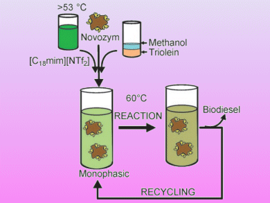 One-Phase for Biodiesel