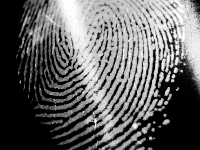 See Hidden Fingerprints
