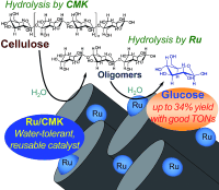 Hydrolysis of Cellulose to Glucose