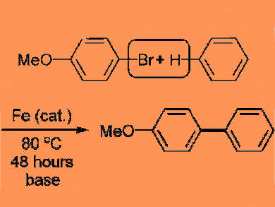 Iron-Catalyzed Direct Arylation