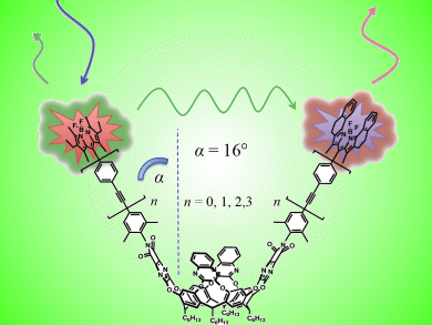 Switchable Cavitands