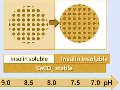 Protein Delivery Through pH Change