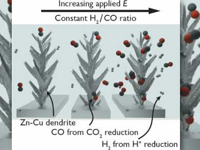 Syngas from Electroreduction of CO2