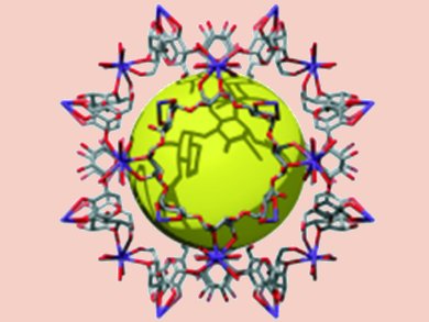 Angewandte Chemie 46/2010: Food for Thought