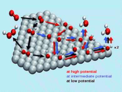 New Insights Into Oxygen Reduction Reaction