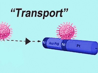 Drug Delivery with Nanoshuttles