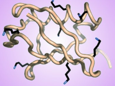 Angewandte Chemie 48/2010: Colorful Variety