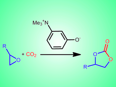 CO2 Activation by Organocatalyst