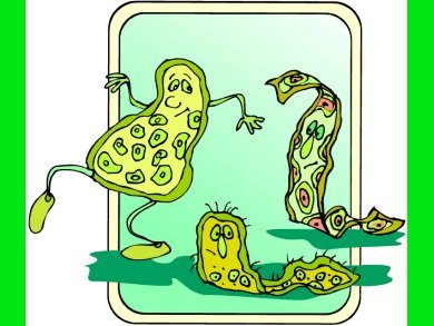Wake Up, Bacterial Spores!