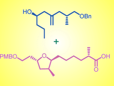 Cytotoxic Amphidinin B Synthesized