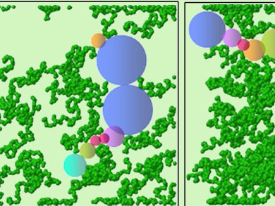 Design of Polymeric Porous Adsorbent Media