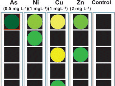 Identification of Heavy-Metals in Wastewater