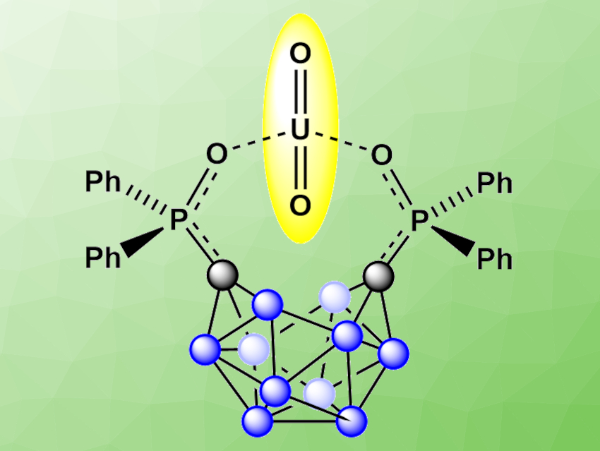 Selective Electrochemical Capture of Uranyl Using a Carborane