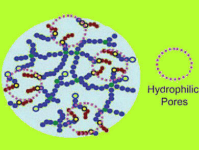 Hydrogels – Enhanced Swelling Ratios