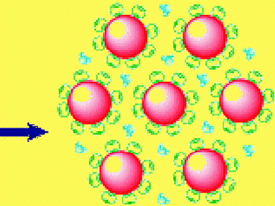 Green Synthesis of Gold Nanoparticles