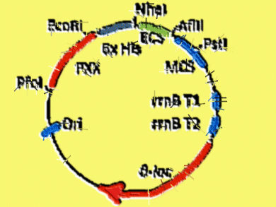 Improved High-throughput Screening