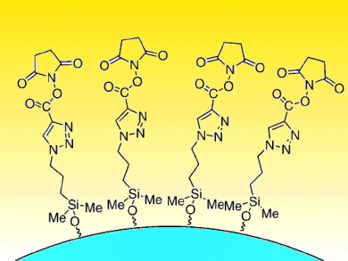 Single-Step Silica Grafting