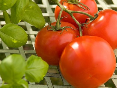 Tomatoes Lower Cardiovascular Risk