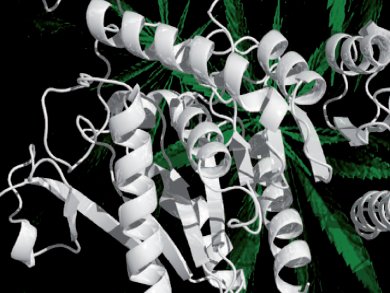 Watching Protein Folding with LC-MS