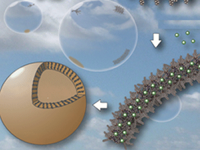 Intelligent Metal-Storage Nanocapsules