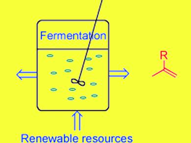 Bio-Based Platform Chemicals